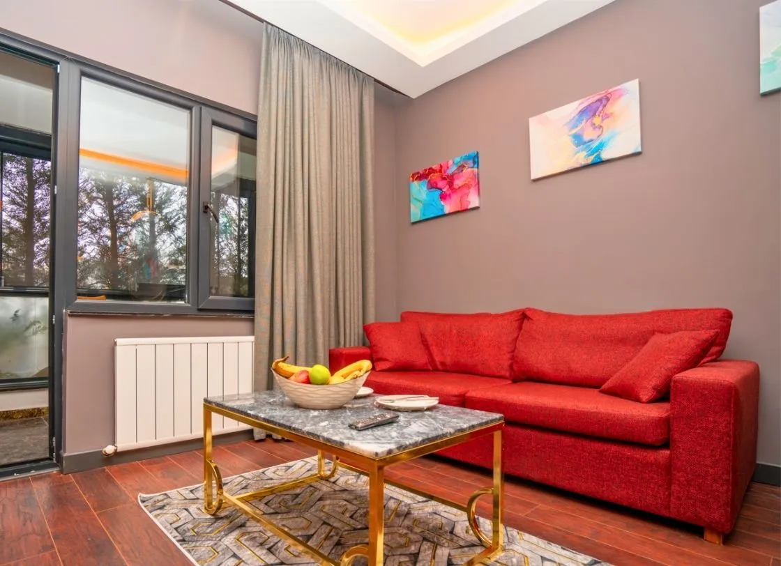 Deluxe Jakuzi - Kartal Günlük Kiralık Ev görseli 2